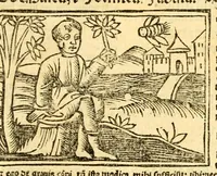 Picture 26 of 43 from Aesopi fabvlae cvm vvlgari interpretatione : et figuris nouissime omni cura, & diligentia emendatae (1557), leaf 49