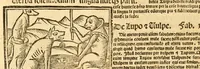 An illustration from Aesopi fabvlae cvm vvlgari interpretatione : et figuris nouissime omni cura, & diligentia emendatae (1557)