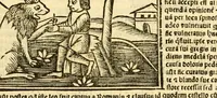 Picture 30 of 43 from Aesopi fabvlae cvm vvlgari interpretatione : et figuris nouissime omni cura, & diligentia emendatae (1557), leaf 53