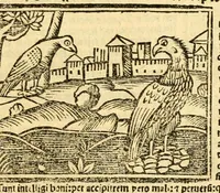 Picture 31 of 43 from Aesopi fabvlae cvm vvlgari interpretatione : et figuris nouissime omni cura, & diligentia emendatae (1557), leaf 57