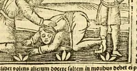 Picture 35 of 43 from Aesopi fabvlae cvm vvlgari interpretatione : et figuris nouissime omni cura, & diligentia emendatae (1557), leaf 63
