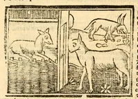 An illustration from Aesopi fabvlae cvm vvlgari interpretatione : et figuris nouissime omni cura, & diligentia emendatae (1557)
