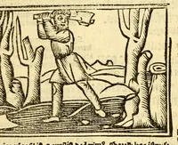 An illustration from Aesopi fabvlae cvm vvlgari interpretatione : et figuris nouissime omni cura, & diligentia emendatae (1557)