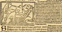 An illustration from Aesopi fabvlae cvm vvlgari interpretatione : et figuris nouissime omni cura, & diligentia emendatae (1557)