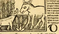 Picture 41 of 43 from Aesopi fabvlae cvm vvlgari interpretatione : et figuris nouissime omni cura, & diligentia emendatae (1557), leaf 69