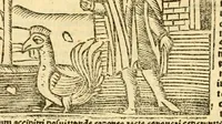 An illustration from Aesopi fabvlae cvm vvlgari interpretatione : et figuris nouissime omni cura, & diligentia emendatae (1557)