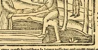 An illustration from Aesopi fabvlae cvm vvlgari interpretatione : et figuris nouissime omni cura, & diligentia emendatae (1557)
