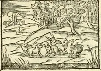 Picture 22 of 145 from Aesopi Phrigis Et Aliorvm Fabvlae. : Elegantissimis Iconibus illustratæ, & diligentius quàm antehac emendatæ (1554), leaf 117