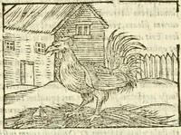 Picture 26 of 145 from Aesopi Phrigis Et Aliorvm Fabvlae. : Elegantissimis Iconibus illustratæ, & diligentius quàm antehac emendatæ (1554), leaf 131