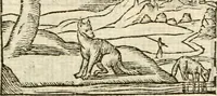 Picture 27 of 145 from Aesopi Phrigis Et Aliorvm Fabvlae. : Elegantissimis Iconibus illustratæ, & diligentius quàm antehac emendatæ (1554), leaf 132
