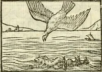 Picture 28 of 145 from Aesopi Phrigis Et Aliorvm Fabvlae. : Elegantissimis Iconibus illustratæ, & diligentius quàm antehac emendatæ (1554), leaf 133