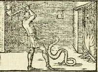 Picture 32 of 145 from Aesopi Phrigis Et Aliorvm Fabvlae. : Elegantissimis Iconibus illustratæ, & diligentius quàm antehac emendatæ (1554), leaf 137