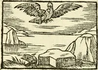 An illustration from Aesopi Phrigis Et Aliorvm Fabvlae. : Elegantissimis Iconibus illustratæ, & diligentius quàm antehac emendatæ (1554)