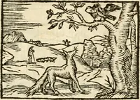 Picture 36 of 145 from Aesopi Phrigis Et Aliorvm Fabvlae. : Elegantissimis Iconibus illustratæ, & diligentius quàm antehac emendatæ (1554), leaf 142