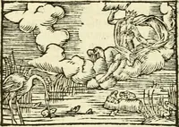 Picture 42 of 145 from Aesopi Phrigis Et Aliorvm Fabvlae. : Elegantissimis Iconibus illustratæ, & diligentius quàm antehac emendatæ (1554), leaf 149