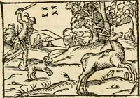 Picture 47 of 145 from Aesopi Phrigis Et Aliorvm Fabvlae. : Elegantissimis Iconibus illustratæ, & diligentius quàm antehac emendatæ (1554), leaf 154