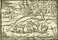 Picture 48 of 145 from Aesopi Phrigis Et Aliorvm Fabvlae. : Elegantissimis Iconibus illustratæ, & diligentius quàm antehac emendatæ (1554), leaf 155