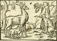 An illustration from Aesopi Phrigis Et Aliorvm Fabvlae. : Elegantissimis Iconibus illustratæ, & diligentius quàm antehac emendatæ (1554)