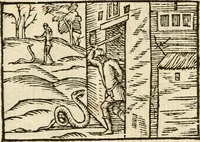 Picture 51 of 145 from Aesopi Phrigis Et Aliorvm Fabvlae. : Elegantissimis Iconibus illustratæ, & diligentius quàm antehac emendatæ (1554), leaf 158