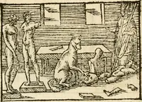 Picture 53 of 145 from Aesopi Phrigis Et Aliorvm Fabvlae. : Elegantissimis Iconibus illustratæ, & diligentius quàm antehac emendatæ (1554), leaf 160