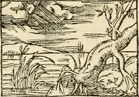 Picture 55 of 145 from Aesopi Phrigis Et Aliorvm Fabvlae. : Elegantissimis Iconibus illustratæ, & diligentius quàm antehac emendatæ (1554), leaf 162