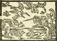 Picture 59 of 145 from Aesopi Phrigis Et Aliorvm Fabvlae. : Elegantissimis Iconibus illustratæ, & diligentius quàm antehac emendatæ (1554), leaf 167