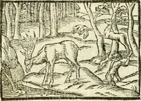 Picture 60 of 145 from Aesopi Phrigis Et Aliorvm Fabvlae. : Elegantissimis Iconibus illustratæ, & diligentius quàm antehac emendatæ (1554), leaf 169