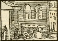 Picture 61 of 145 from Aesopi Phrigis Et Aliorvm Fabvlae. : Elegantissimis Iconibus illustratæ, & diligentius quàm antehac emendatæ (1554), leaf 170
