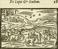Picture 62 of 145 from Aesopi Phrigis Et Aliorvm Fabvlae. : Elegantissimis Iconibus illustratæ, & diligentius quàm antehac emendatæ (1554), leaf 171