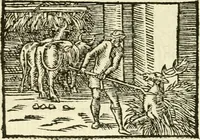 Picture 66 of 145 from Aesopi Phrigis Et Aliorvm Fabvlae. : Elegantissimis Iconibus illustratæ, & diligentius quàm antehac emendatæ (1554), leaf 175