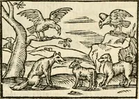 Picture 71 of 145 from Aesopi Phrigis Et Aliorvm Fabvlae. : Elegantissimis Iconibus illustratæ, & diligentius quàm antehac emendatæ (1554), leaf 182
