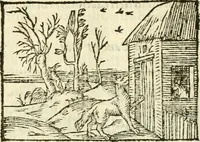 Picture 72 of 145 from Aesopi Phrigis Et Aliorvm Fabvlae. : Elegantissimis Iconibus illustratæ, & diligentius quàm antehac emendatæ (1554), leaf 183
