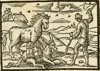 Picture 75 of 145 from Aesopi Phrigis Et Aliorvm Fabvlae. : Elegantissimis Iconibus illustratæ, & diligentius quàm antehac emendatæ (1554), leaf 186