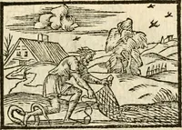 Picture 76 of 145 from Aesopi Phrigis Et Aliorvm Fabvlae. : Elegantissimis Iconibus illustratæ, & diligentius quàm antehac emendatæ (1554), leaf 188