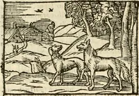 Picture 78 of 145 from Aesopi Phrigis Et Aliorvm Fabvlae. : Elegantissimis Iconibus illustratæ, & diligentius quàm antehac emendatæ (1554), leaf 190