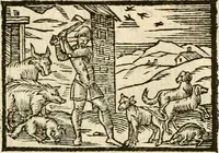 Picture 79 of 145 from Aesopi Phrigis Et Aliorvm Fabvlae. : Elegantissimis Iconibus illustratæ, & diligentius quàm antehac emendatæ (1554), leaf 192
