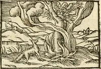 Picture 80 of 145 from Aesopi Phrigis Et Aliorvm Fabvlae. : Elegantissimis Iconibus illustratæ, & diligentius quàm antehac emendatæ (1554), leaf 194