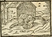 Picture 82 of 145 from Aesopi Phrigis Et Aliorvm Fabvlae. : Elegantissimis Iconibus illustratæ, & diligentius quàm antehac emendatæ (1554), leaf 196