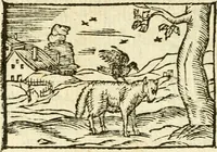 Picture 84 of 145 from Aesopi Phrigis Et Aliorvm Fabvlae. : Elegantissimis Iconibus illustratæ, & diligentius quàm antehac emendatæ (1554), leaf 199