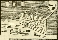 Picture 86 of 145 from Aesopi Phrigis Et Aliorvm Fabvlae. : Elegantissimis Iconibus illustratæ, & diligentius quàm antehac emendatæ (1554), leaf 201