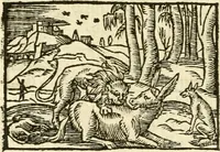 Picture 89 of 145 from Aesopi Phrigis Et Aliorvm Fabvlae. : Elegantissimis Iconibus illustratæ, & diligentius quàm antehac emendatæ (1554), leaf 205