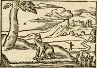 Picture 90 of 145 from Aesopi Phrigis Et Aliorvm Fabvlae. : Elegantissimis Iconibus illustratæ, & diligentius quàm antehac emendatæ (1554), leaf 206