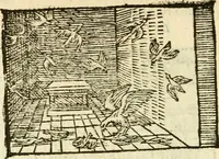 Picture 94 of 145 from Aesopi Phrigis Et Aliorvm Fabvlae. : Elegantissimis Iconibus illustratæ, & diligentius quàm antehac emendatæ (1554), leaf 211