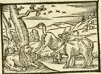 Picture 95 of 145 from Aesopi Phrigis Et Aliorvm Fabvlae. : Elegantissimis Iconibus illustratæ, & diligentius quàm antehac emendatæ (1554), leaf 213