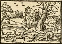 Picture 96 of 145 from Aesopi Phrigis Et Aliorvm Fabvlae. : Elegantissimis Iconibus illustratæ, & diligentius quàm antehac emendatæ (1554), leaf 214