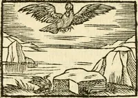 Picture 97 of 145 from Aesopi Phrigis Et Aliorvm Fabvlae. : Elegantissimis Iconibus illustratæ, & diligentius quàm antehac emendatæ (1554), leaf 217
