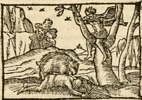 An illustration from Aesopi Phrigis Et Aliorvm Fabvlae. : Elegantissimis Iconibus illustratæ, & diligentius quàm antehac emendatæ (1554)