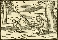 Picture 100 of 145 from Aesopi Phrigis Et Aliorvm Fabvlae. : Elegantissimis Iconibus illustratæ, & diligentius quàm antehac emendatæ (1554), leaf 233