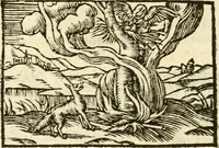 Picture 102 of 145 from Aesopi Phrigis Et Aliorvm Fabvlae. : Elegantissimis Iconibus illustratæ, & diligentius quàm antehac emendatæ (1554), leaf 237