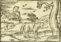 Picture 103 of 145 from Aesopi Phrigis Et Aliorvm Fabvlae. : Elegantissimis Iconibus illustratæ, & diligentius quàm antehac emendatæ (1554), leaf 239